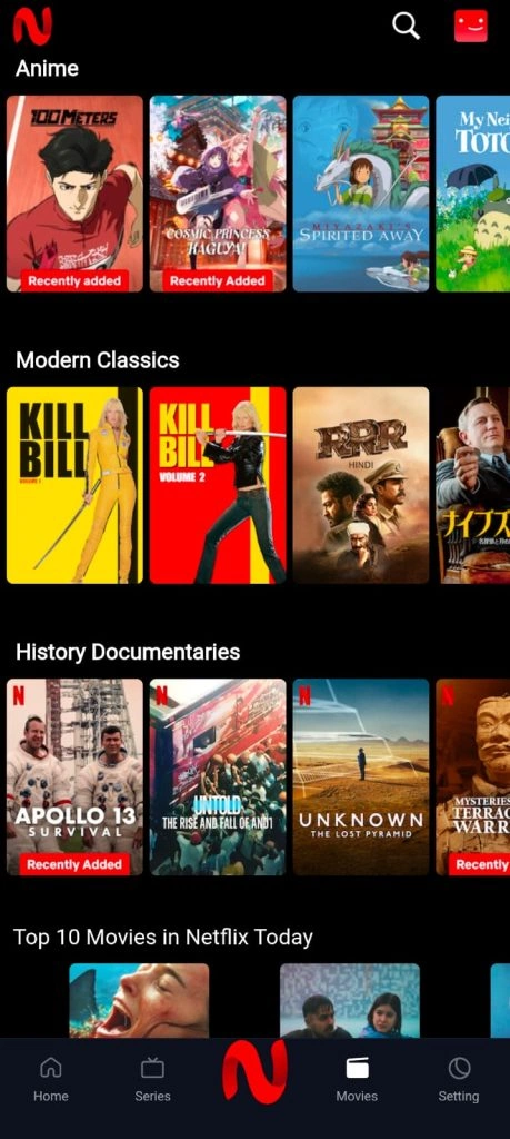 NetMirror video player